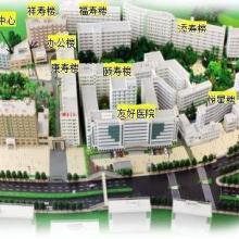 广州善美养老咨询服务公司 以专业教育咨询服务引领养老产业创新与发展