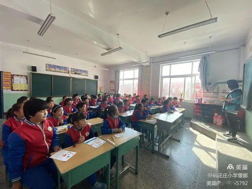 阳光自护，护航成长——困境青少年安全与心理服务走进兴旺庄小学